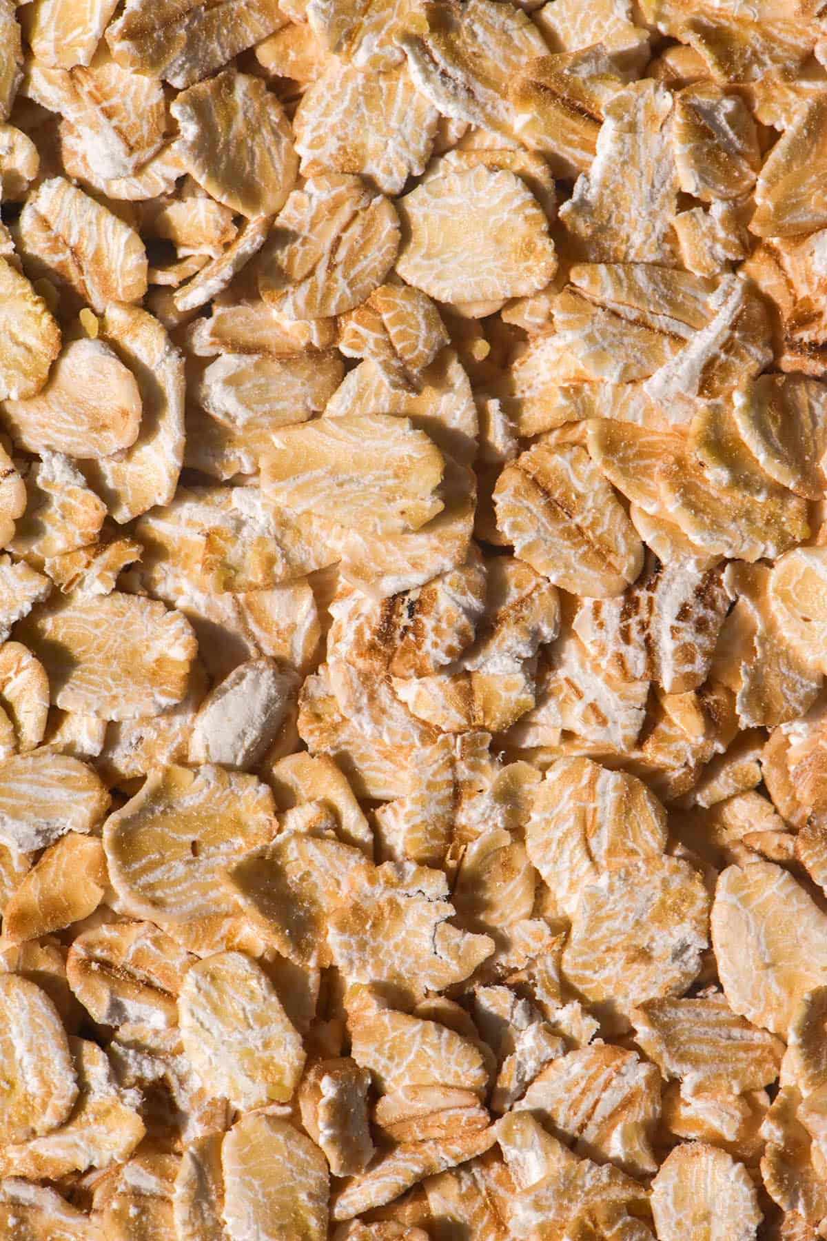 An aerial macro image of rolled oats 