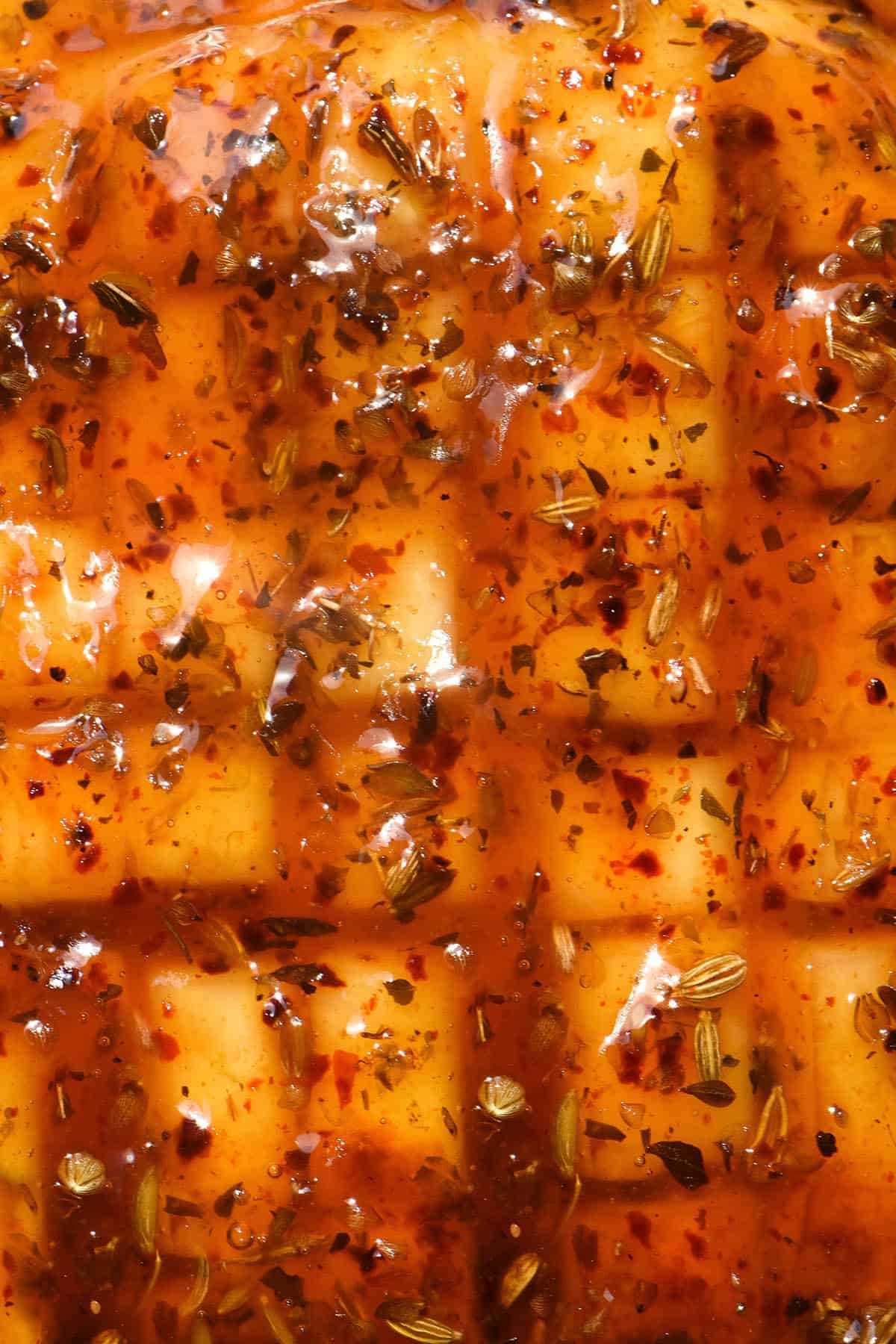 A macro close up of scored and baked halloumi with a maple and lemon glaze. The glaze is a deep red and dotted with fennel seeds, chilli flakes and dried oregano. 