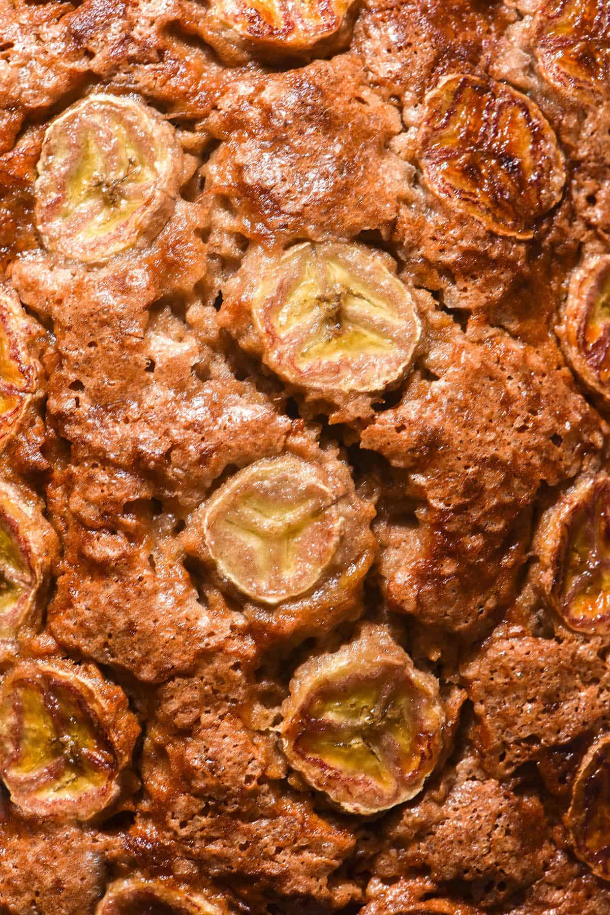 A macro close up image of the top of a gluten free banana bread