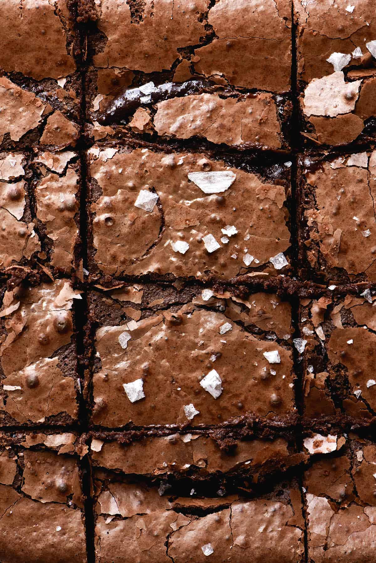 An aerial macro image of buckwheat brownies that have been sliced and topped with sea salt flakes. 