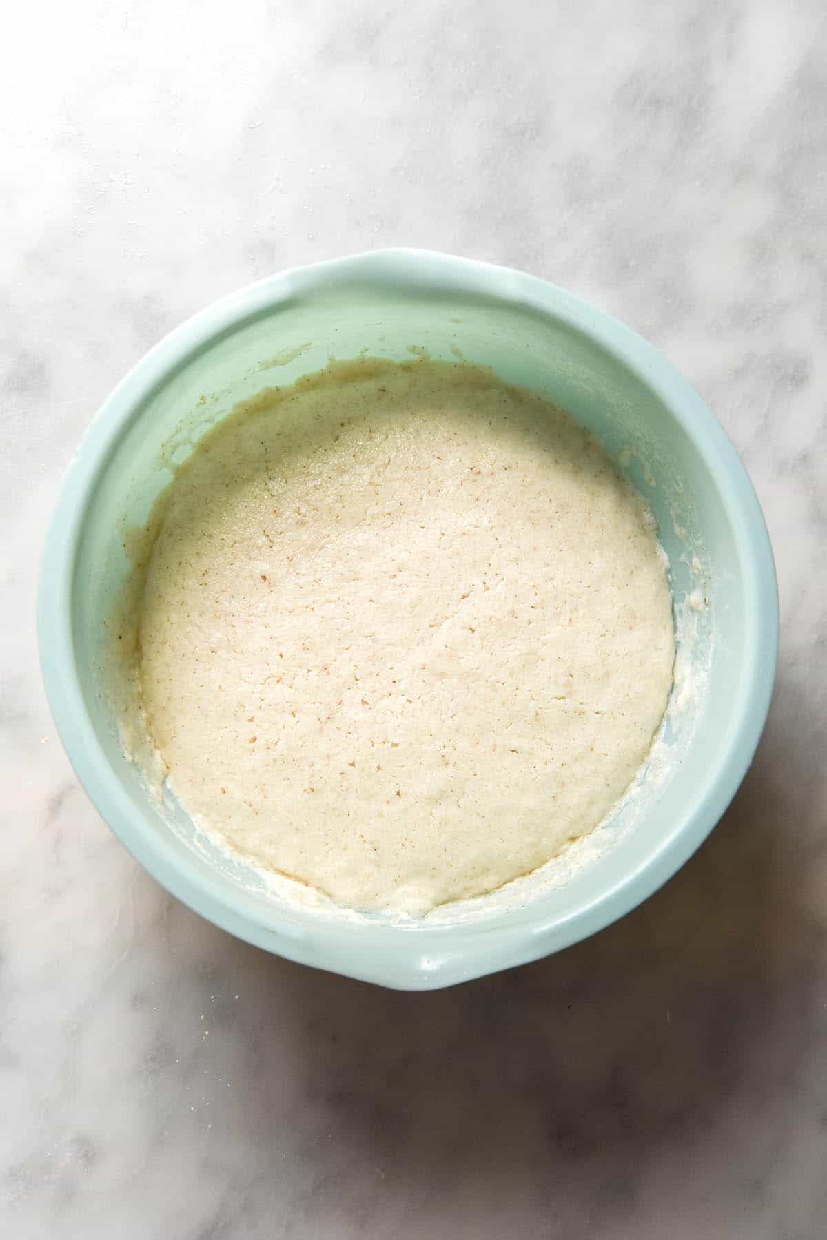 An instructional image for gluten free bao bun dough 