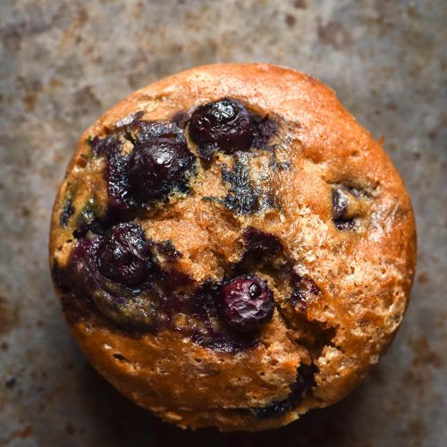 An aerial image of a gluten free buckwheat muffin with blueberries on top. The muffin sits on a dark steel backdrop