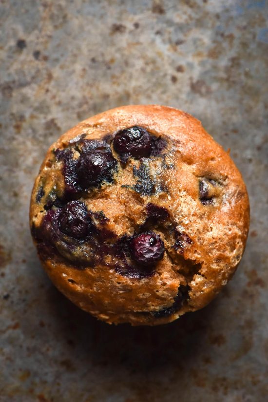 An aerial image of a gluten free buckwheat muffin with blueberries on top. The muffin sits on a dark steel backdrop