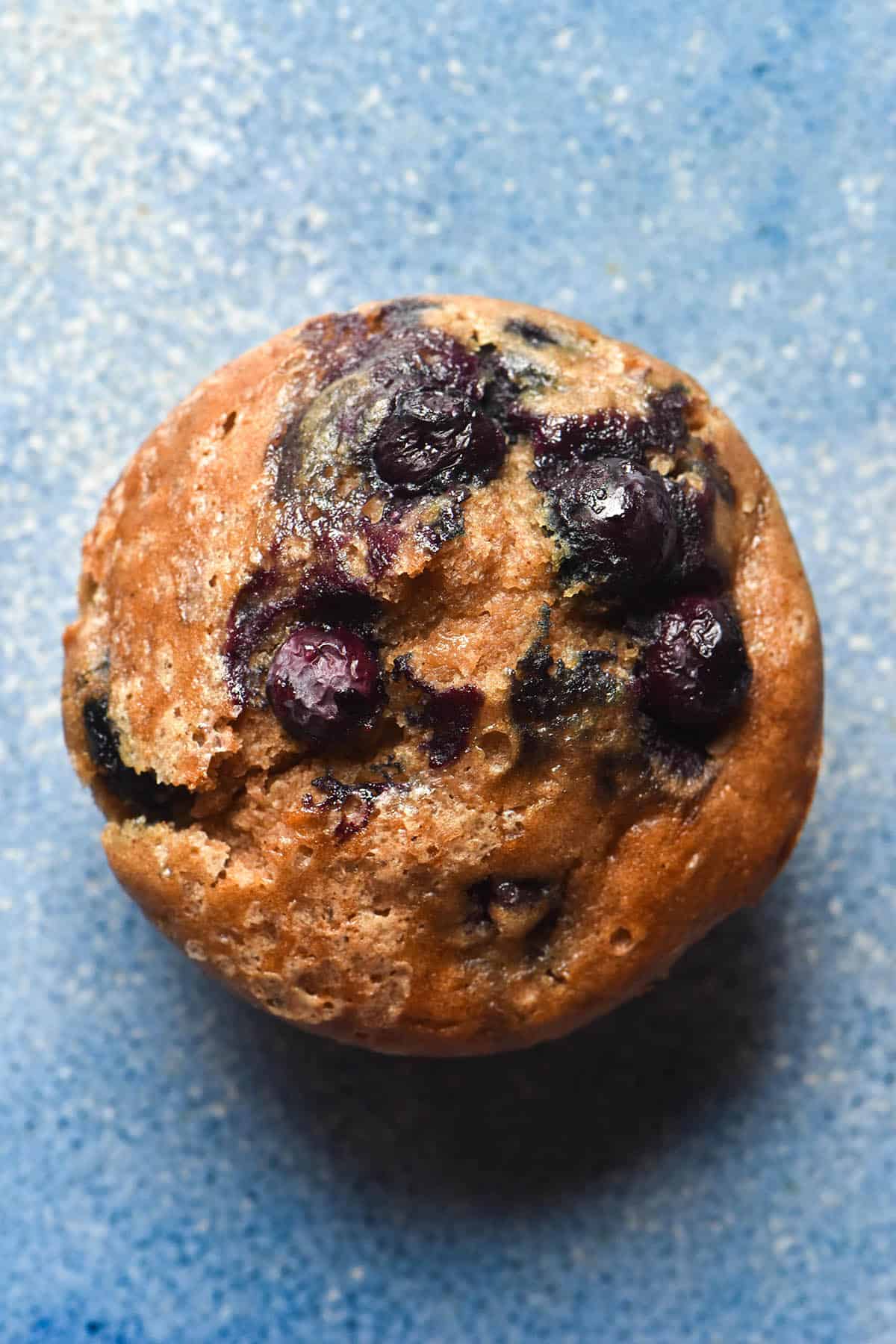 An aerial image of a gluten free buckwheat muffin topped with blueberries and granulated sugar on a bright blue ceramic plate.