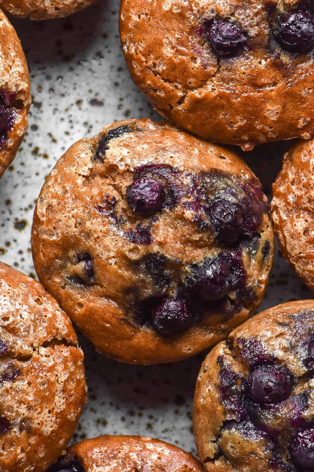 An aerial image of buckwheat blueberry muffins casually arranged on a white speckled ceramic plate 