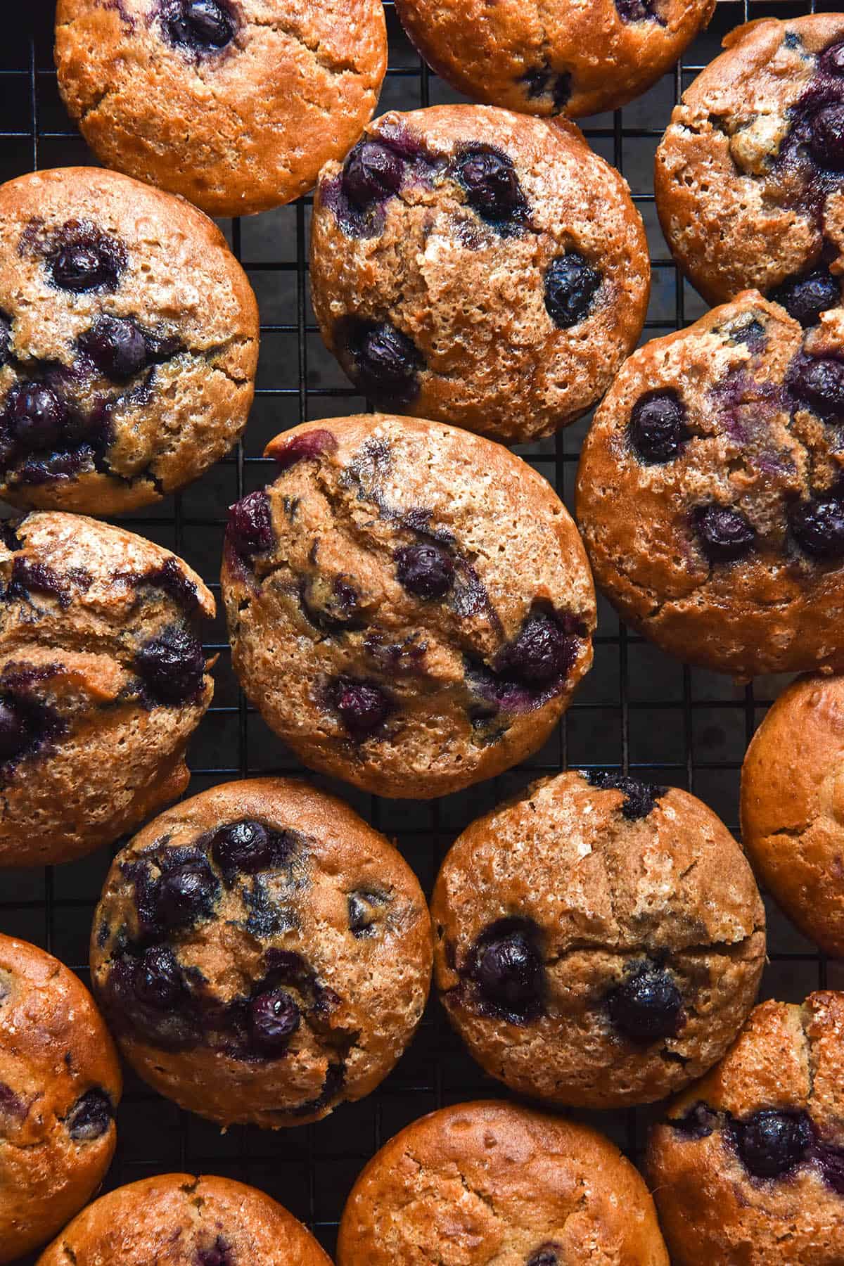 A dark aerial image of gluten free buckwheat muffins topped with blueberries and granulated sugar