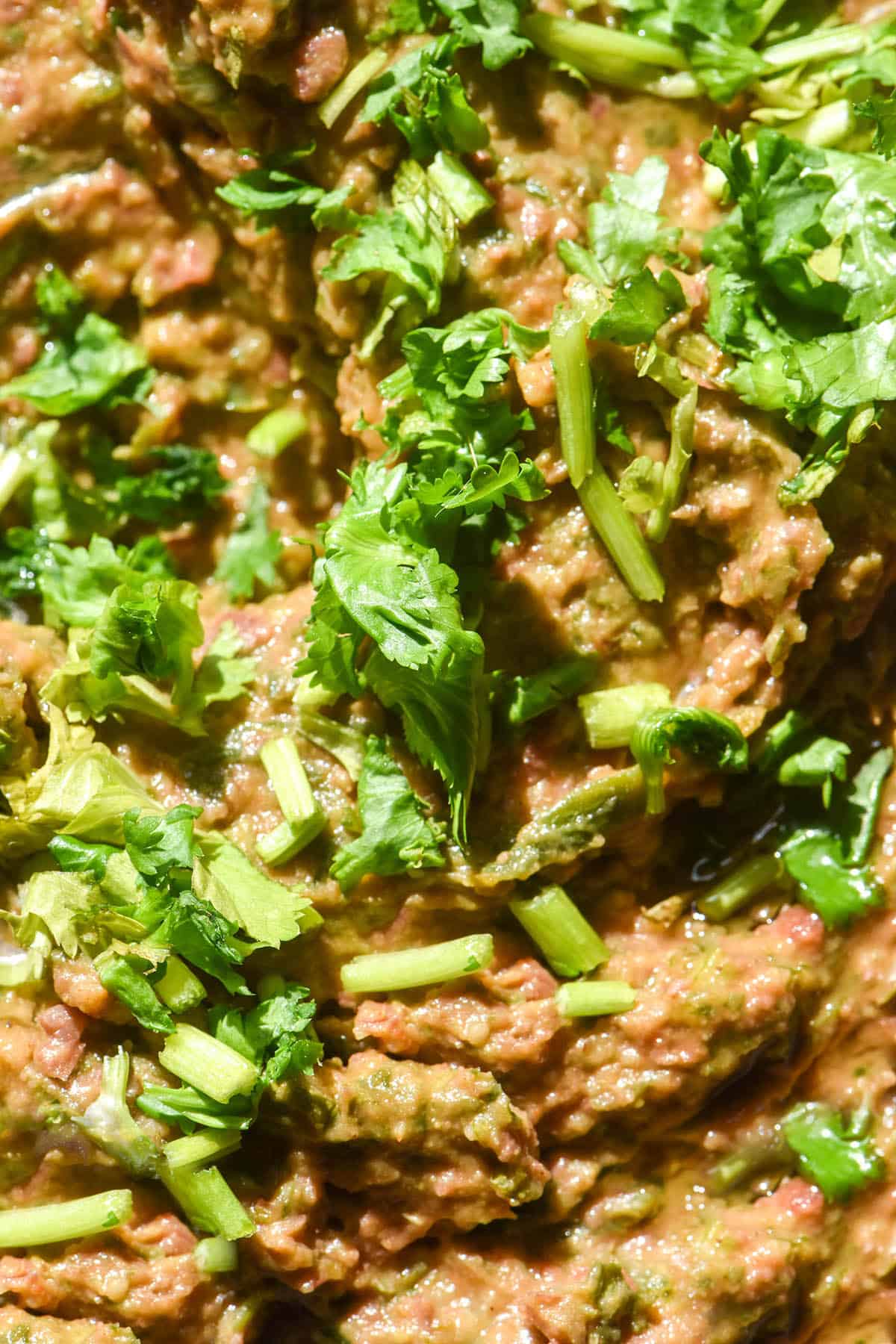 An aerial macro image of low FODMAP refried beans topped with chopped coriander