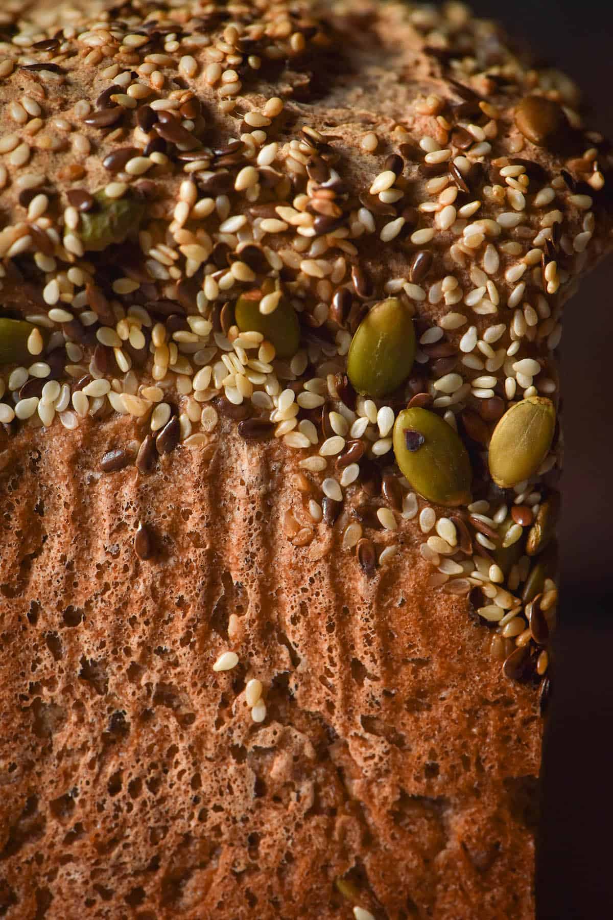 A close up macro image of the side of a loaf of gluten free seeded bread.