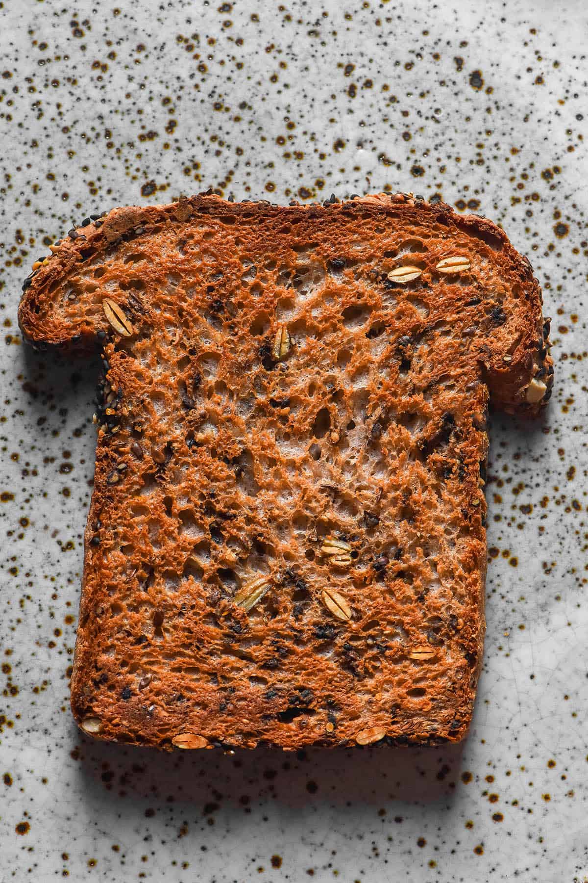 An aerial image of a slice of toasted gluten free seeded bread on a white speckled ceramic plate.