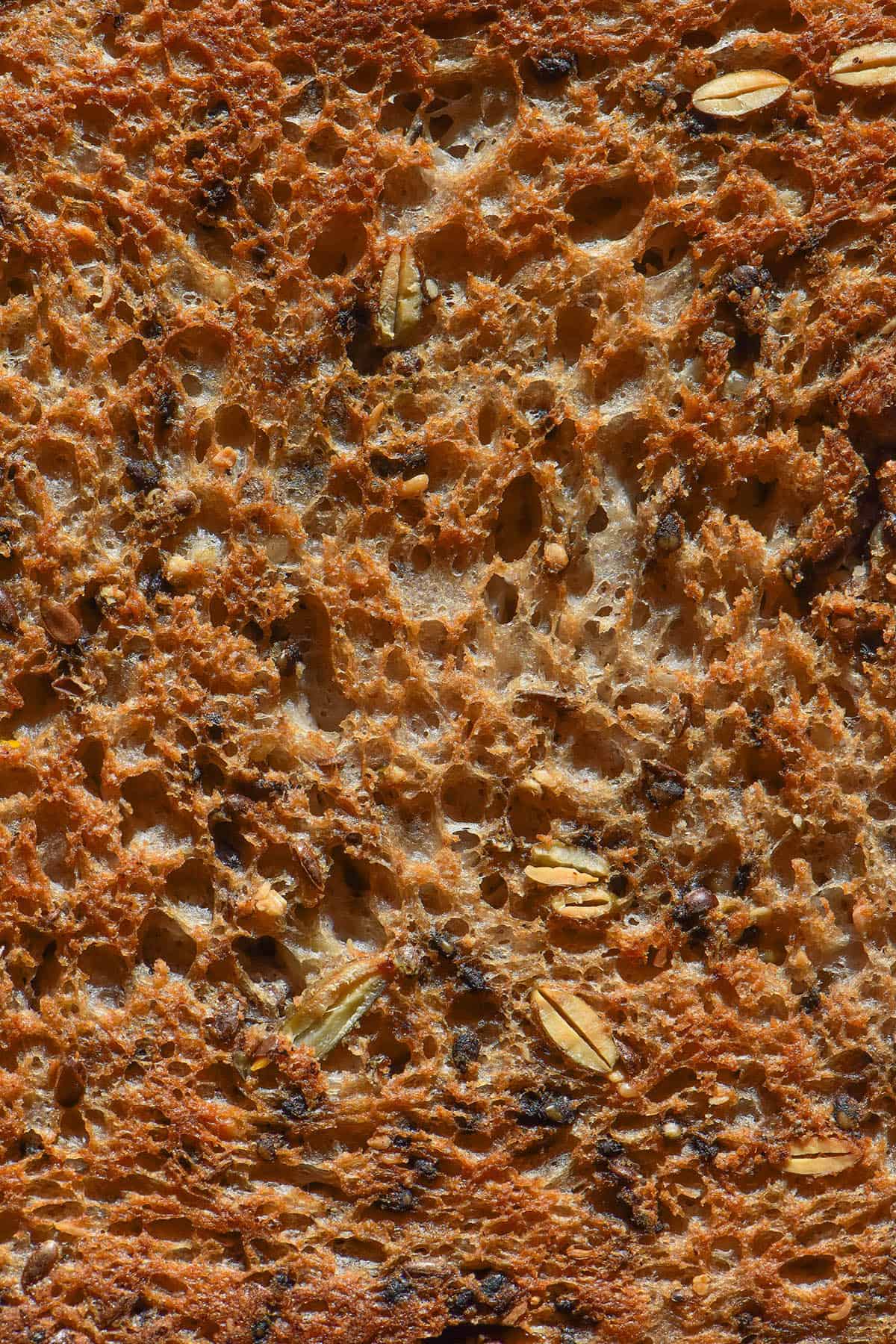 A macro image of the crumb of a slice of toasted gluten free seeded bread