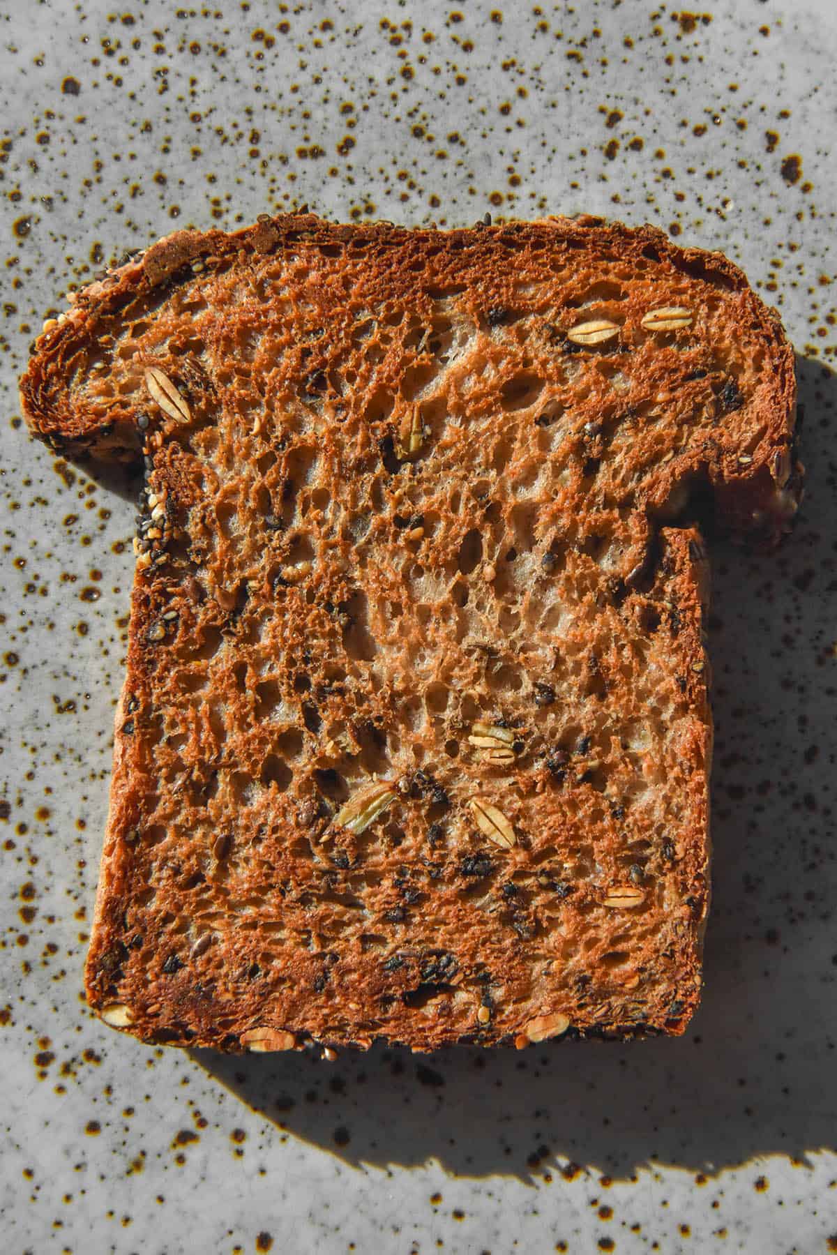 An aerial image of a slice of gluten free seeded toast on a white speckled ceramic plate