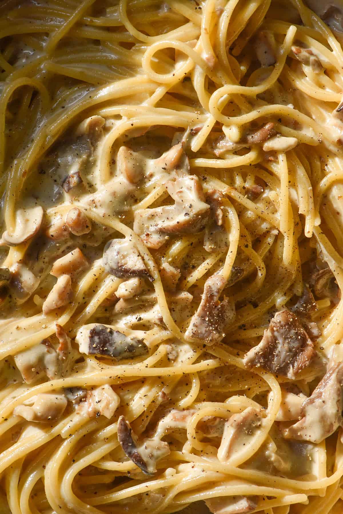 An aerial macro image of a bowl of low FODMAP creamy mushroom pasta in bright sunlight.