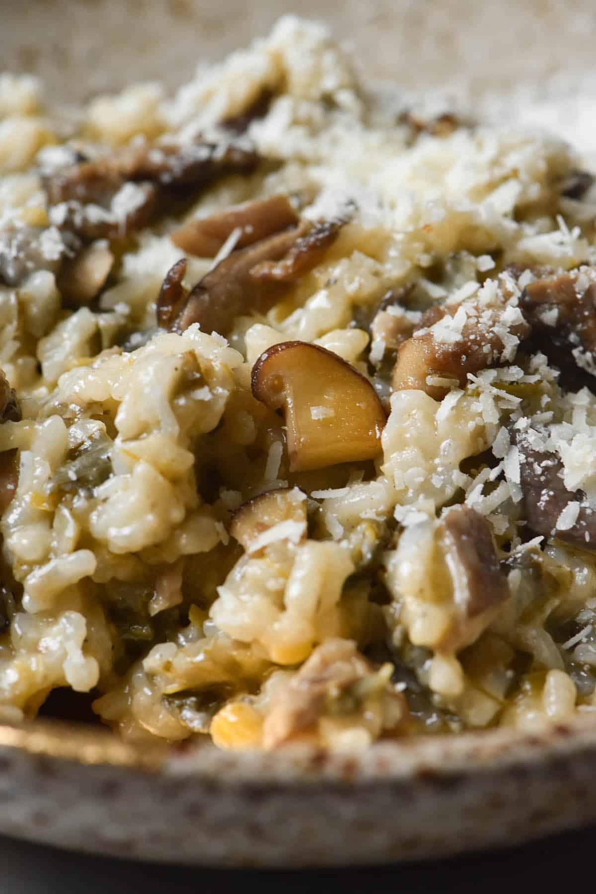 A close up view of a bowl filled with low FODMAP mushroom risotto and topped with parmesan.