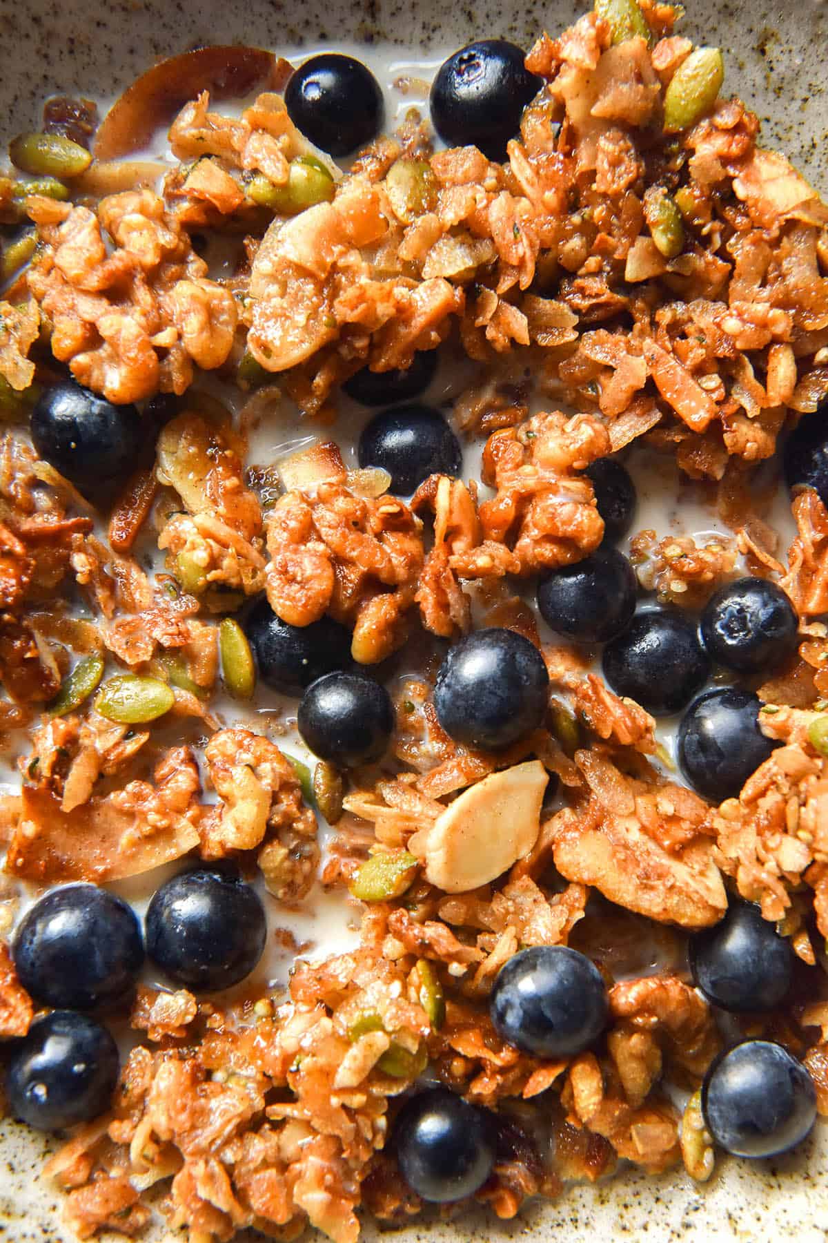 An aerial macro image of a bowl of gluten free granola topped with fresh blueberries and milk.