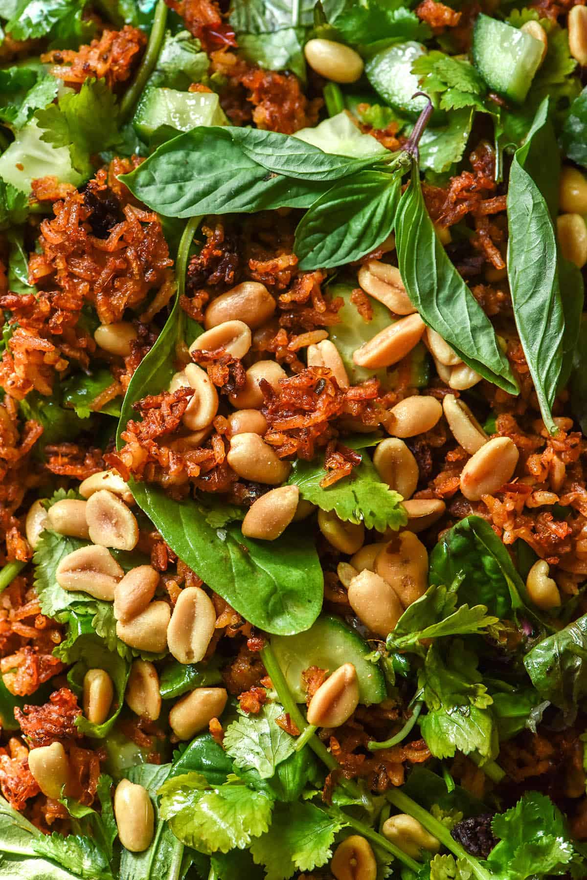 An aerial macro close up of a low FODMAP crispy rice salad topped with fresh herbs, peanuts and slices of cucumber.