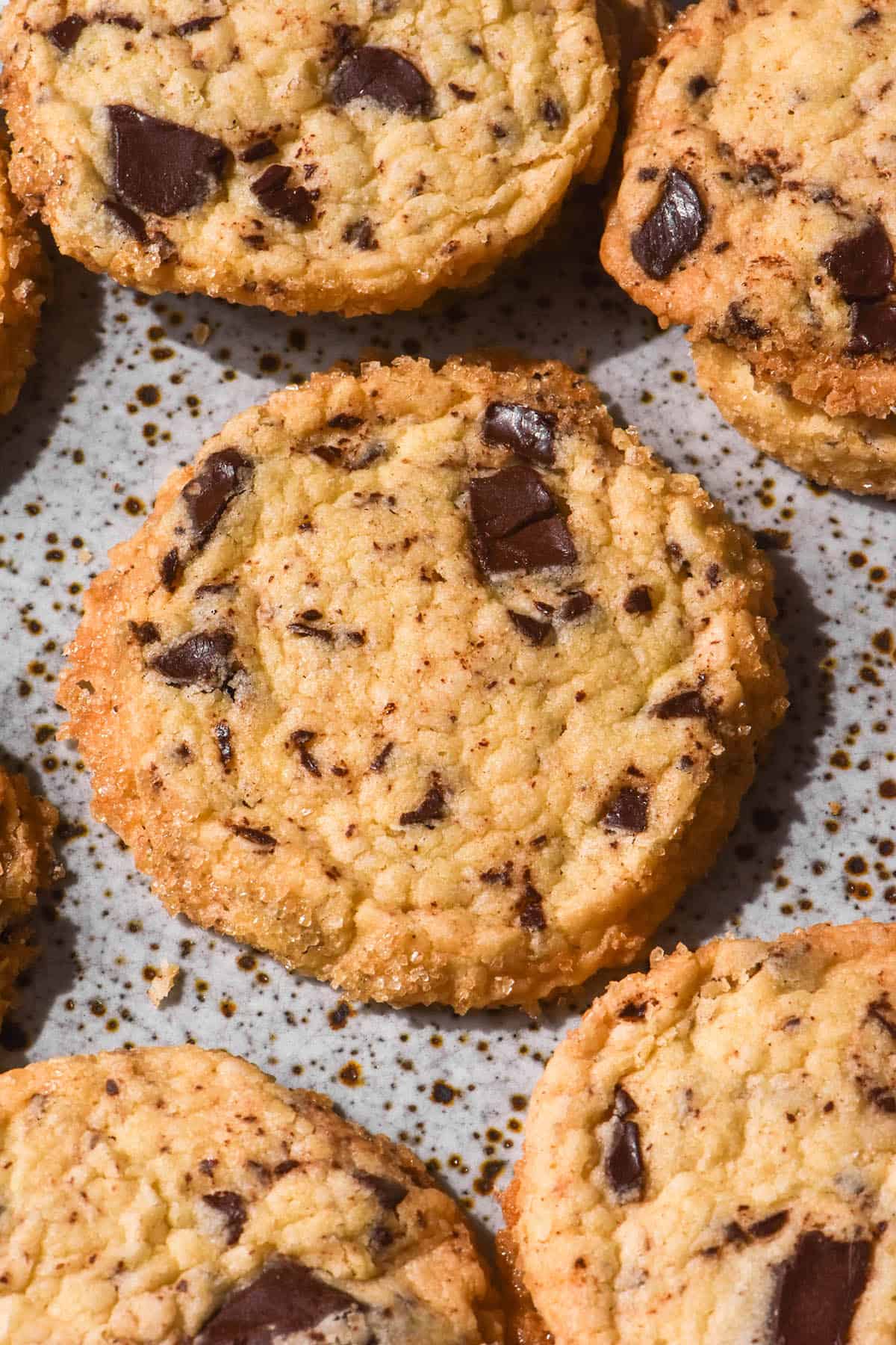 A brightly lit aerial view of gluten free choc chip shortbreads casually arranged on a white speckled ceramic plate