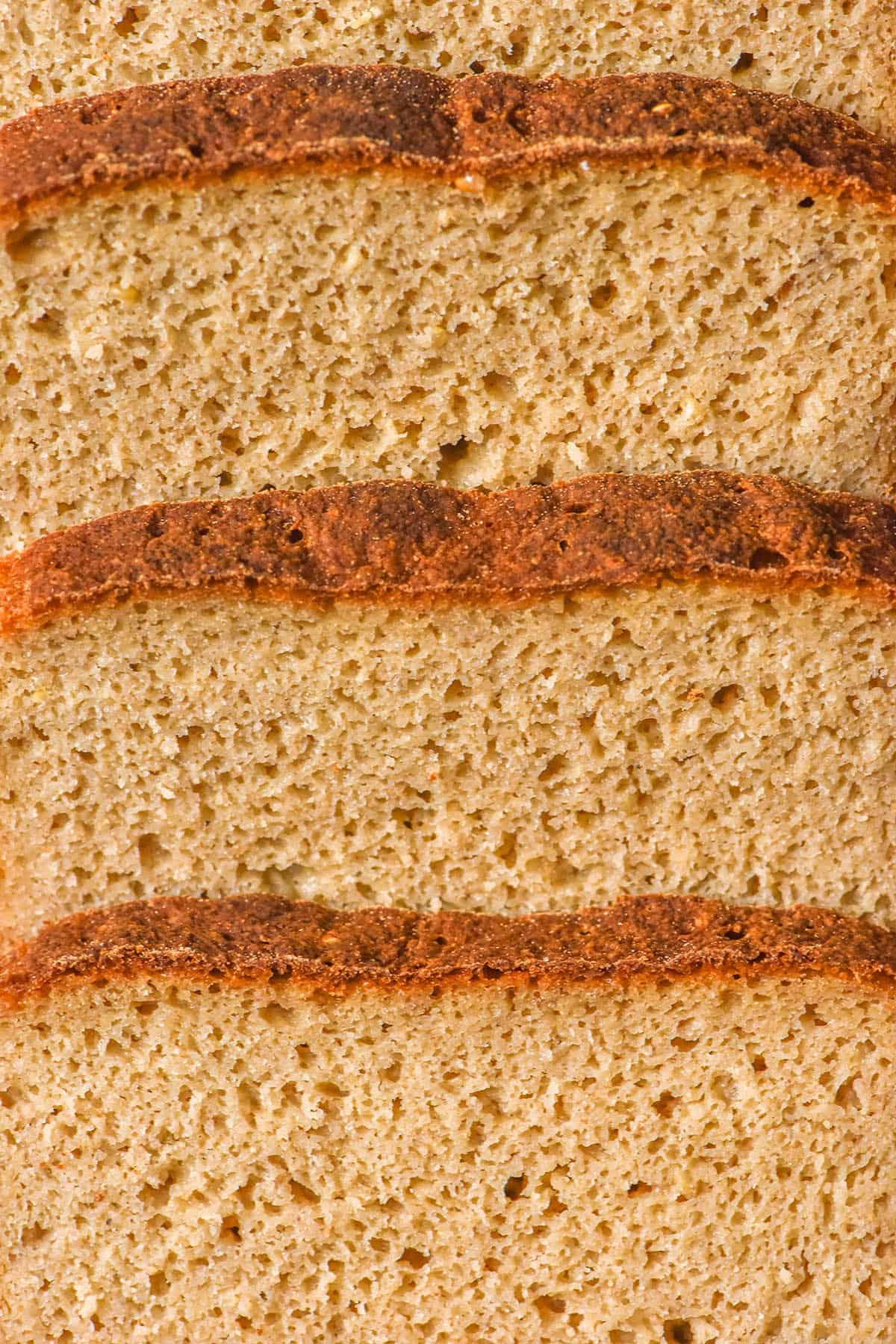 A macro close up image of slices of quinoa bread arranged in a line