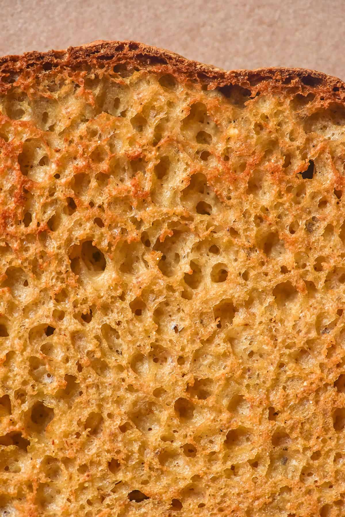 A close up macro image of a slice of millet bread that has been toasted and sits atop a pale pink ceramic plate