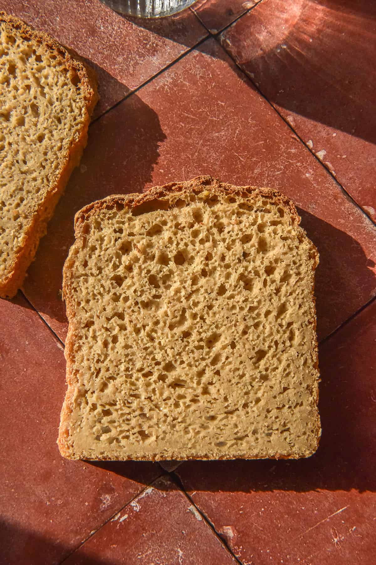 A sunlit aerial image of a two slices of millet bread atop a terracotta tile backdrop. A sunlit glass of water sits in the top right corner of the image