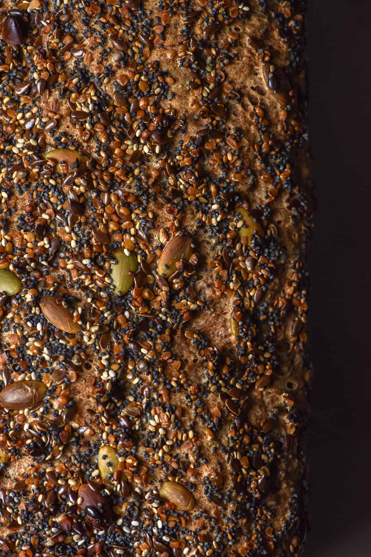 A moody aerial image of the top of a loaf of seeded buckwheat bread