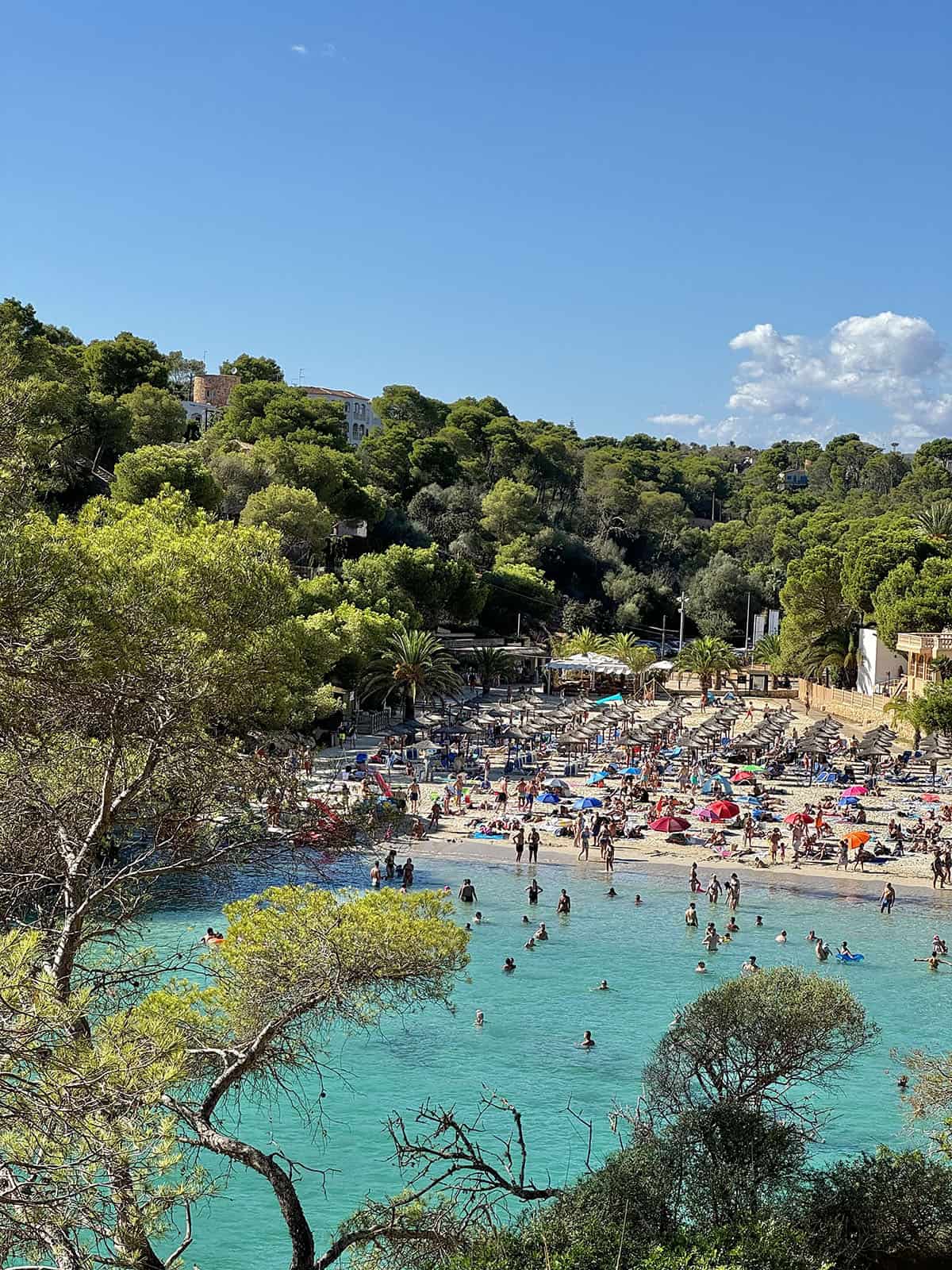 An image of the beach and beachgoers at Cala Santanyi, Mallorca on a sunny day