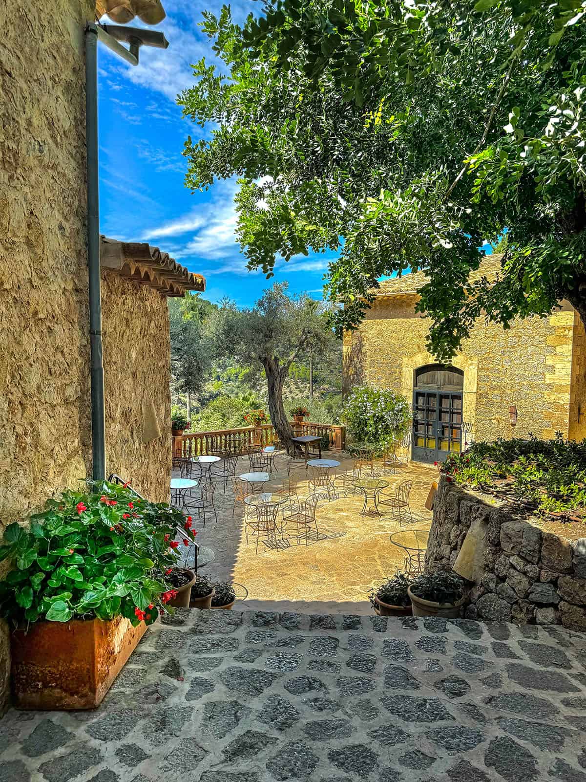 An image of El Olivo restaurant in Belmond Residencia, Deia, Mallorca