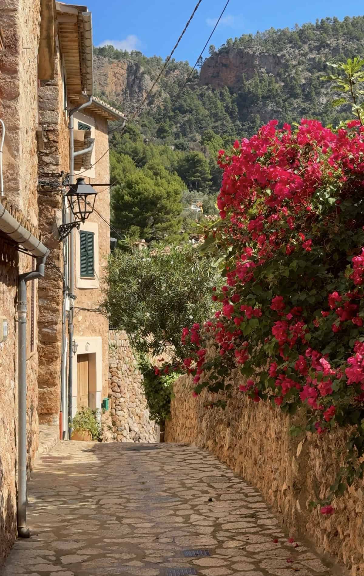 An image of a street in Fornalutx filled with hydrangeas 