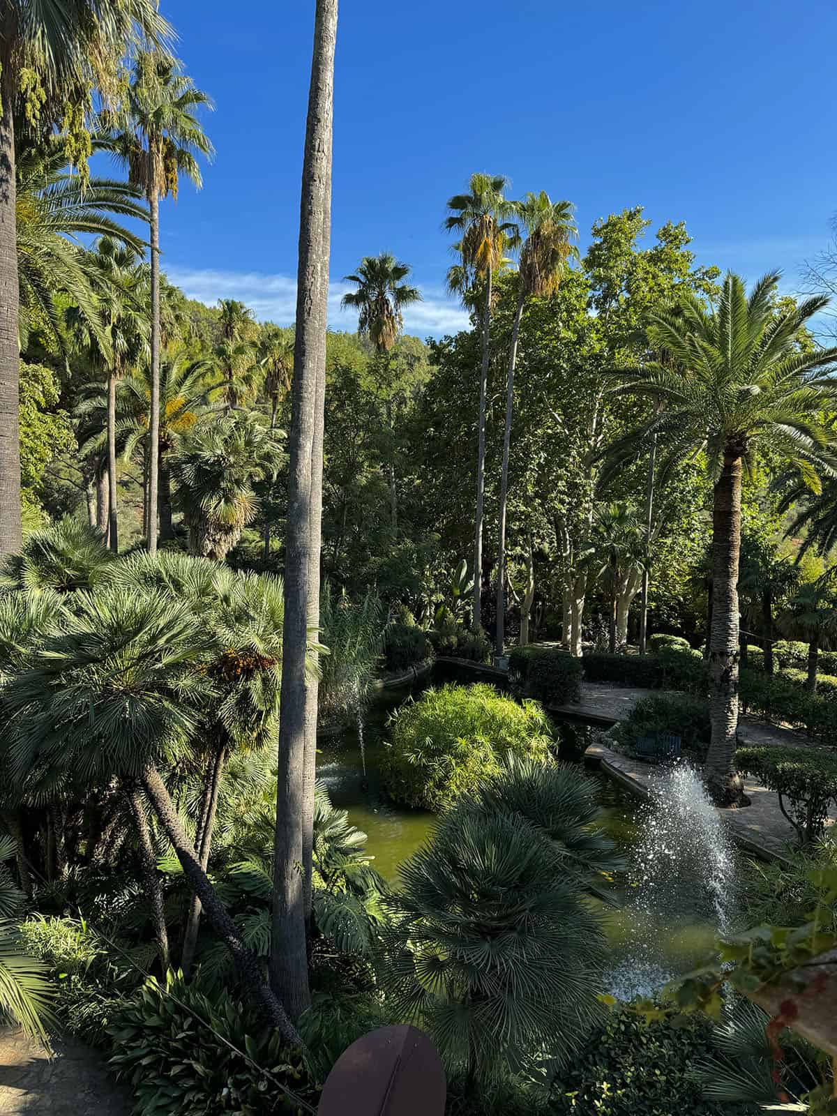 An image of the verdant greenery of the Gardens of Alfabia in Soller, Mallorca