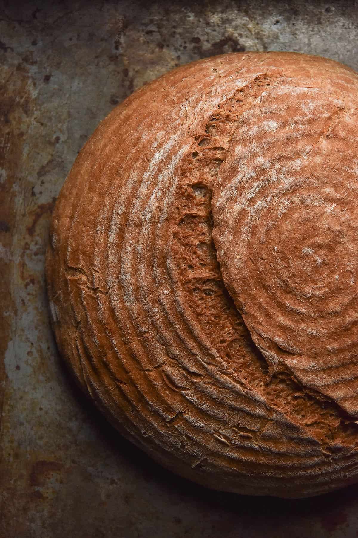 Gluten free buckwheat boule (vegan)