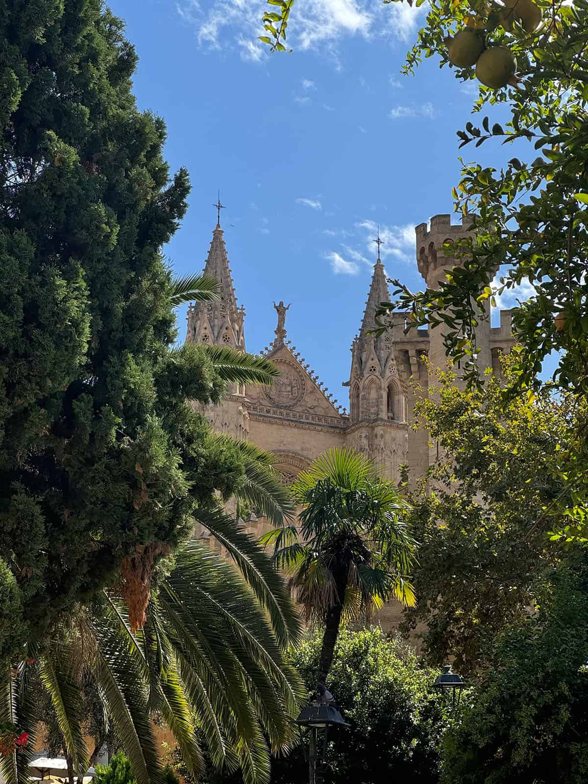 An image of Palma cathedral framed by a garden and a citrus tree