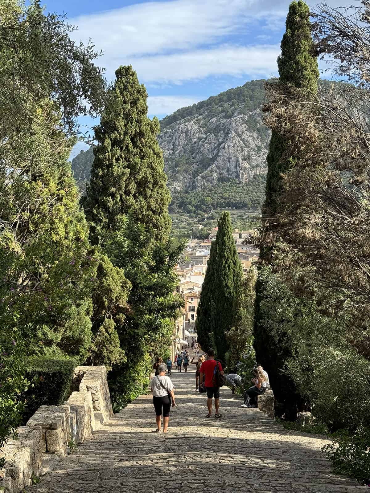 An image from near the top of the Calvari steps in Pollenca, Mallorca