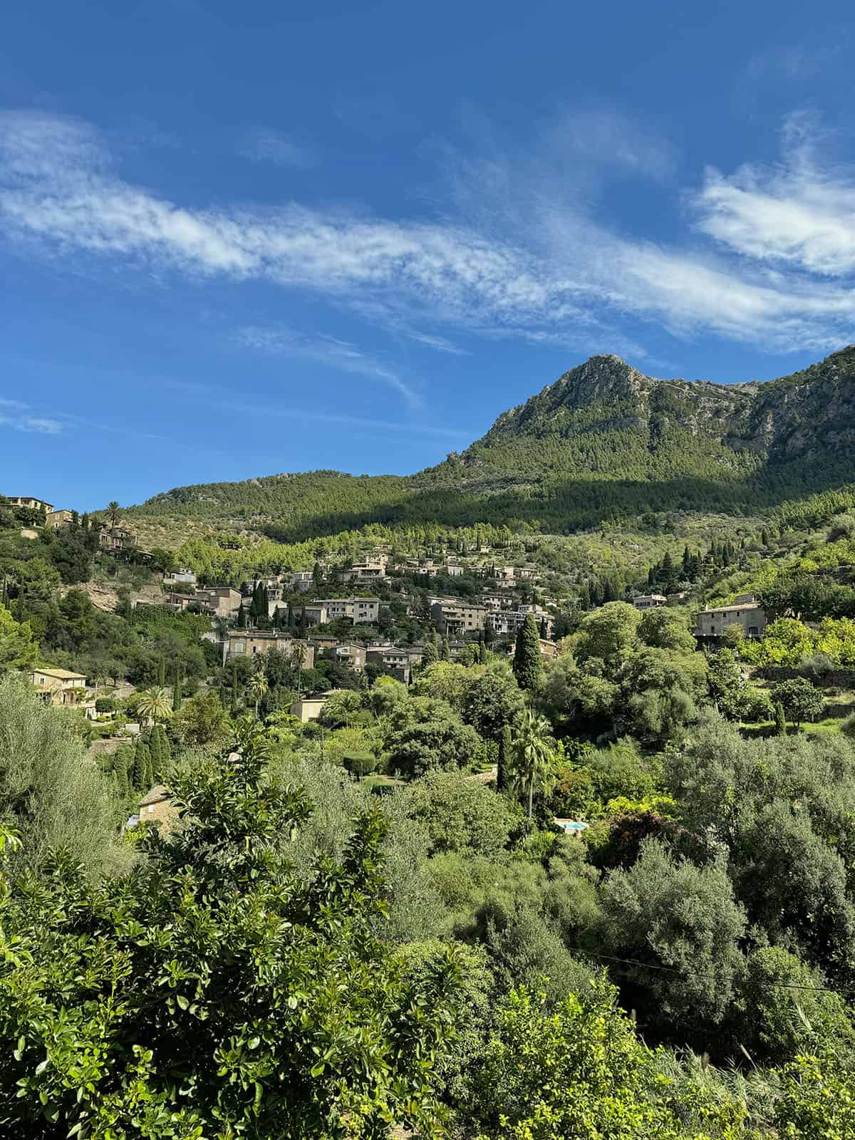 A view of the lush hillsides of Deia Mallorca on a sunny day with blue skies