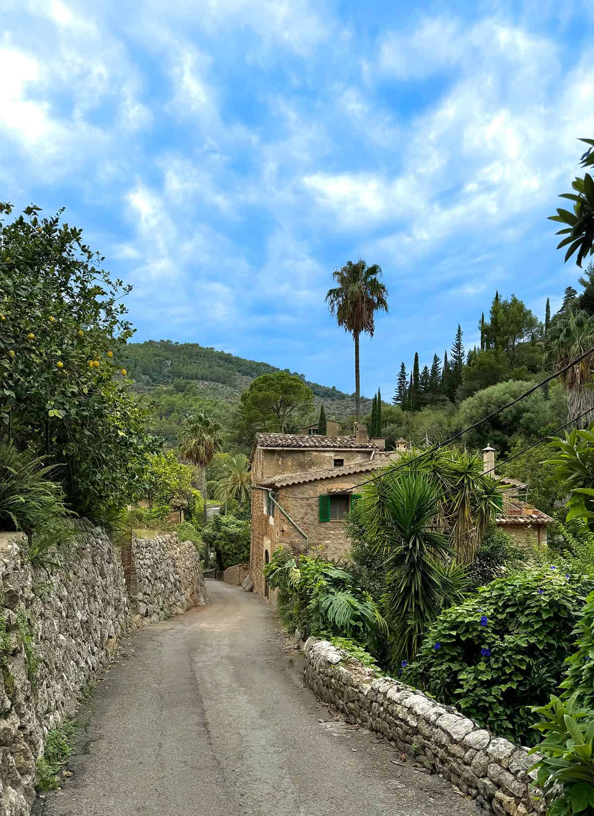 An image of El Clot road in Deia, Mallorca