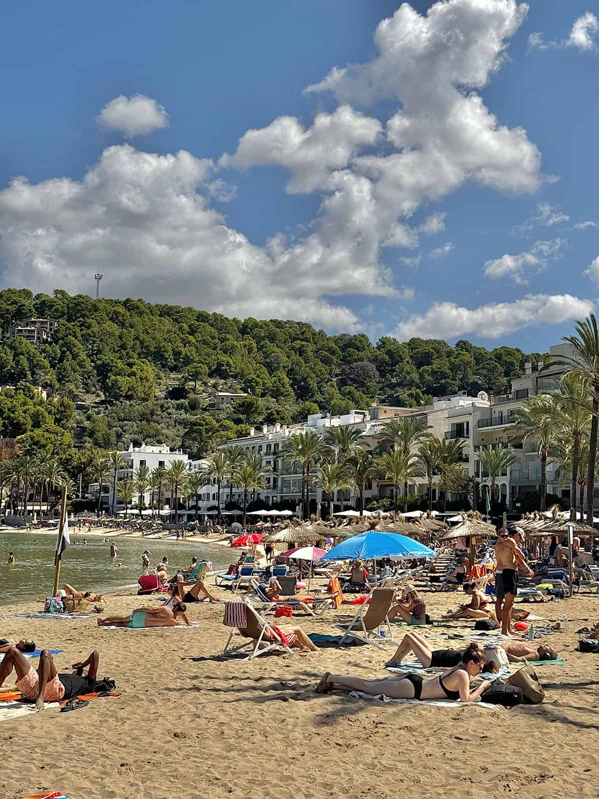 An image of the beach at Port De Soller