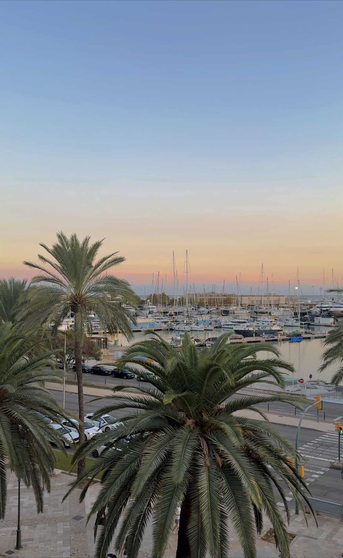 A pastel coloured sunset at Palma Marina with palm trees and boats