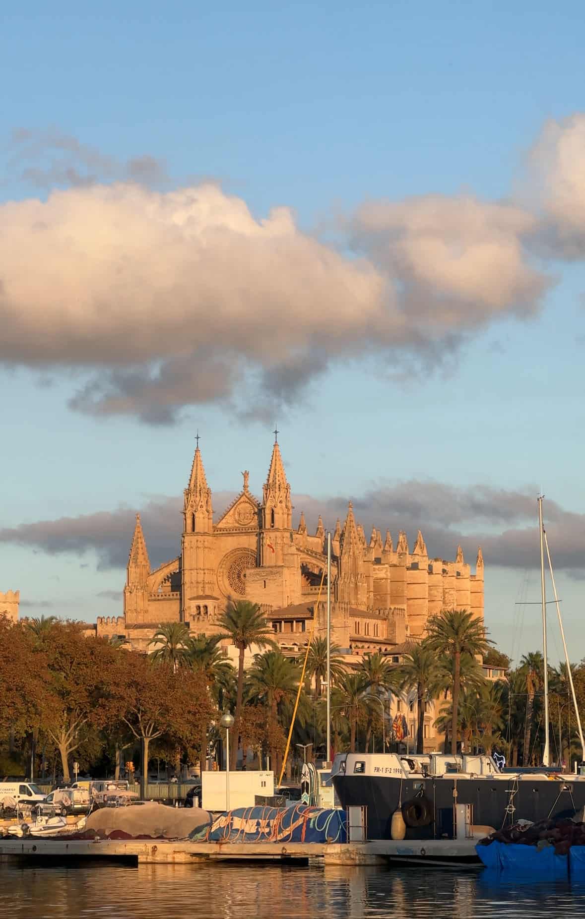 The sun setting over Palma Cathedral as seen from the Palma marina