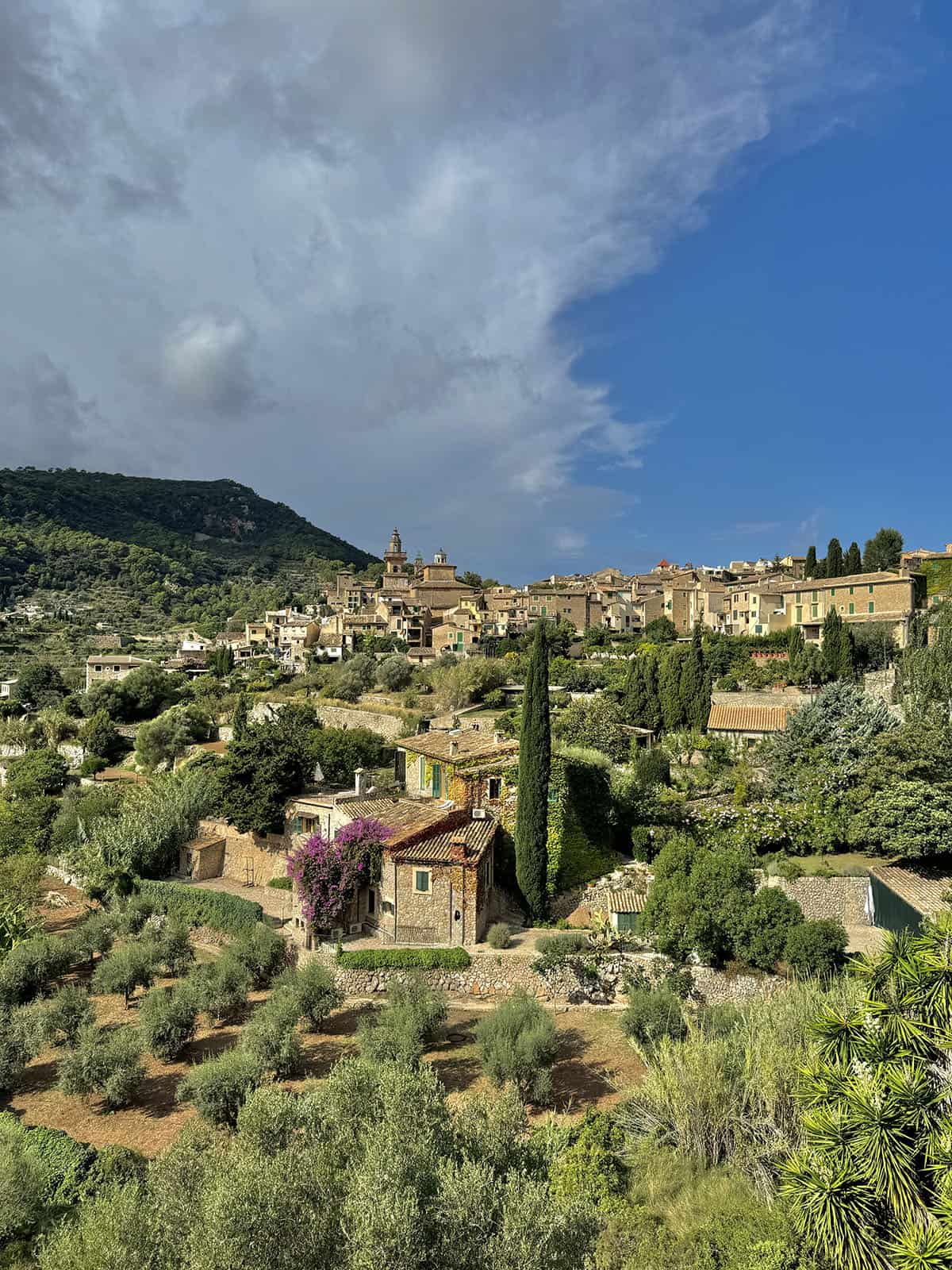 A view of Valldemossa as seen from the road into town