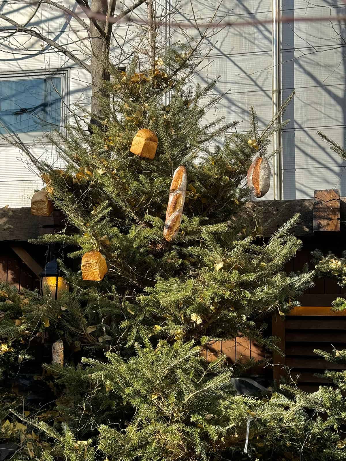 A Christmas tree adorned with bread in Seongsu-dong, Seoul