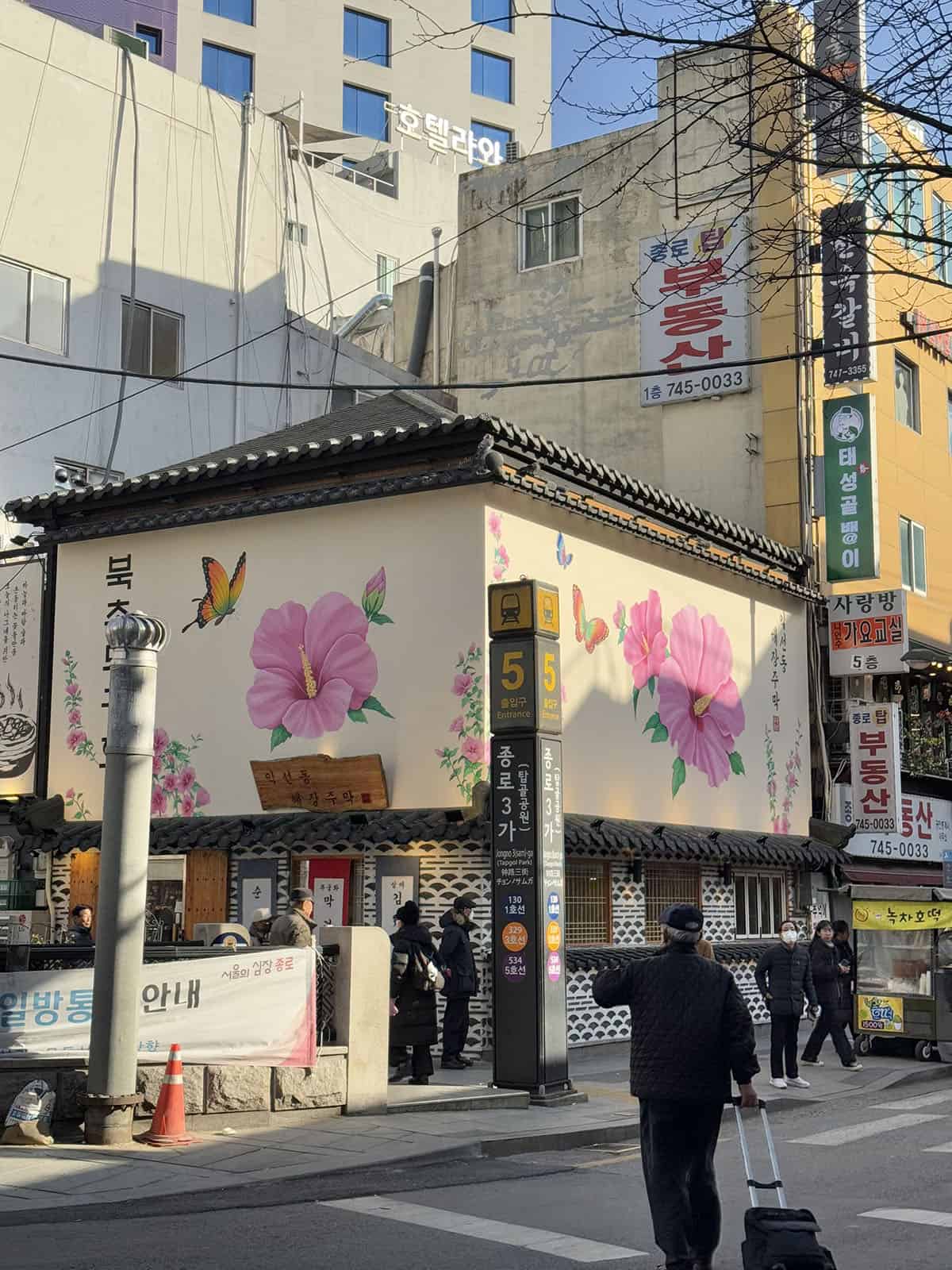 An image of a shopfront in Insadong covered in cherry blossoms