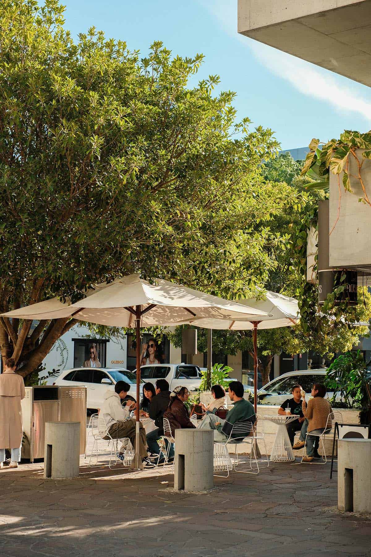 An image of patrons in James St, Fortitude Valley at a leafy cafe on a sunny day.
