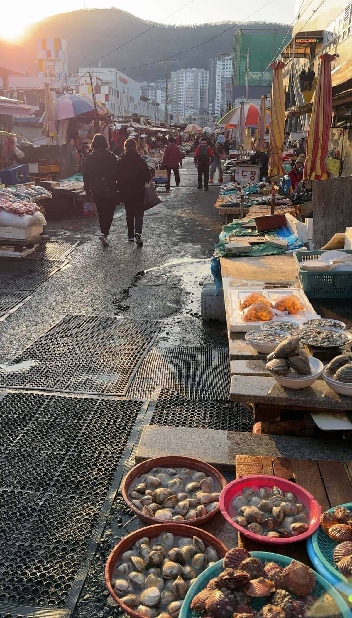 Jagalchi fish market in Busan at sunset