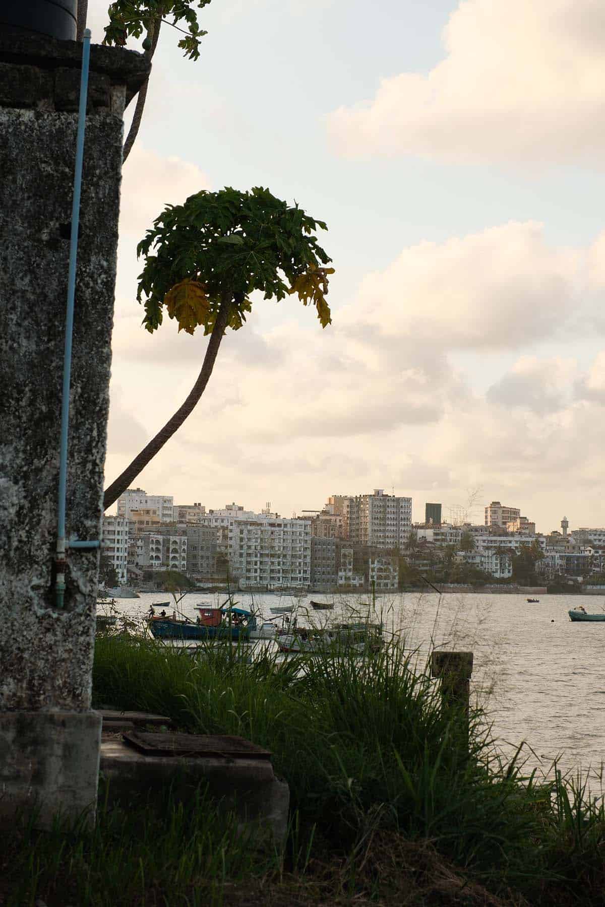 The view of Mombasa from Forodhani restaurant in Mombasa old town