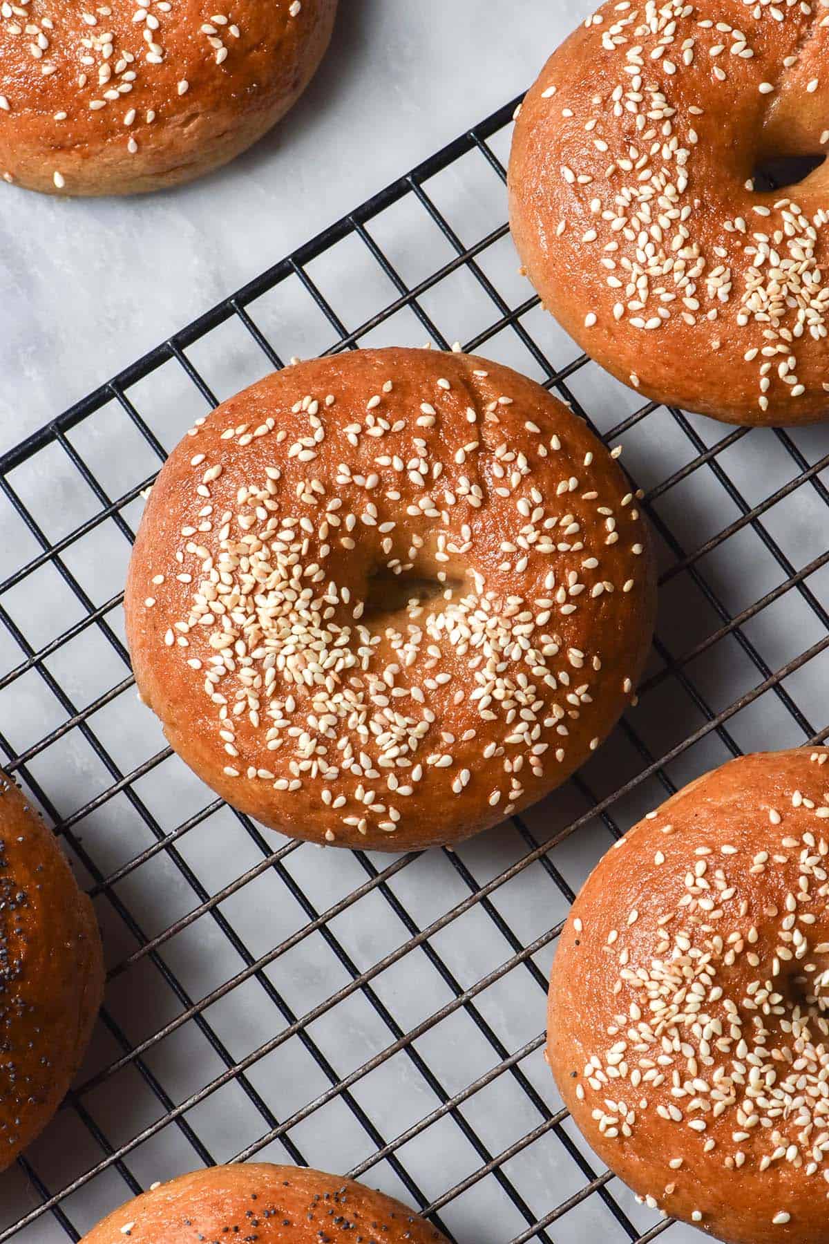 An aerial image of gluten free sourdough bagels topped with sesame seeds on a wire cooling rack atop a white marble table