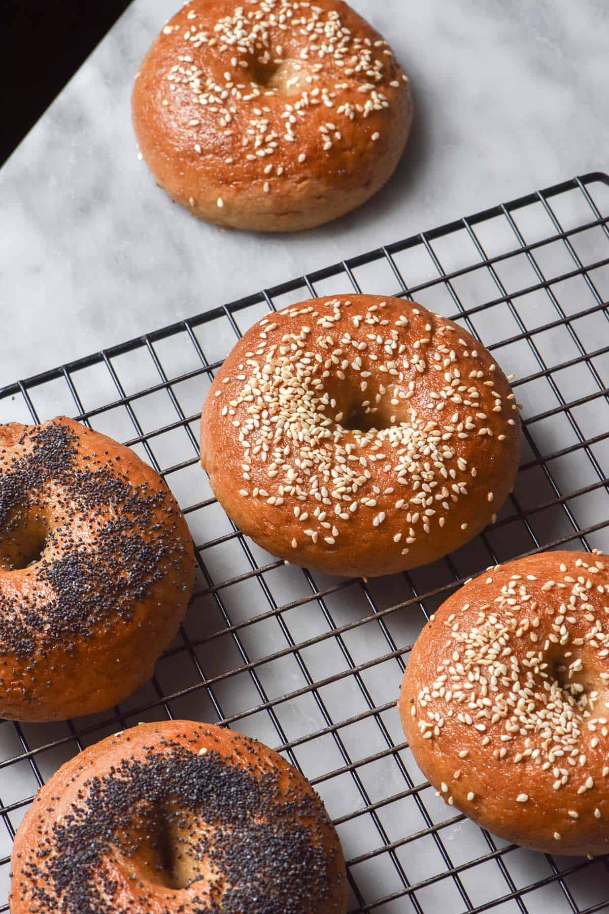 An aerial image of gluten free sourdough bagels topped with poppyseeds or sesame seeds on a wire cooling rack atop a white marble table