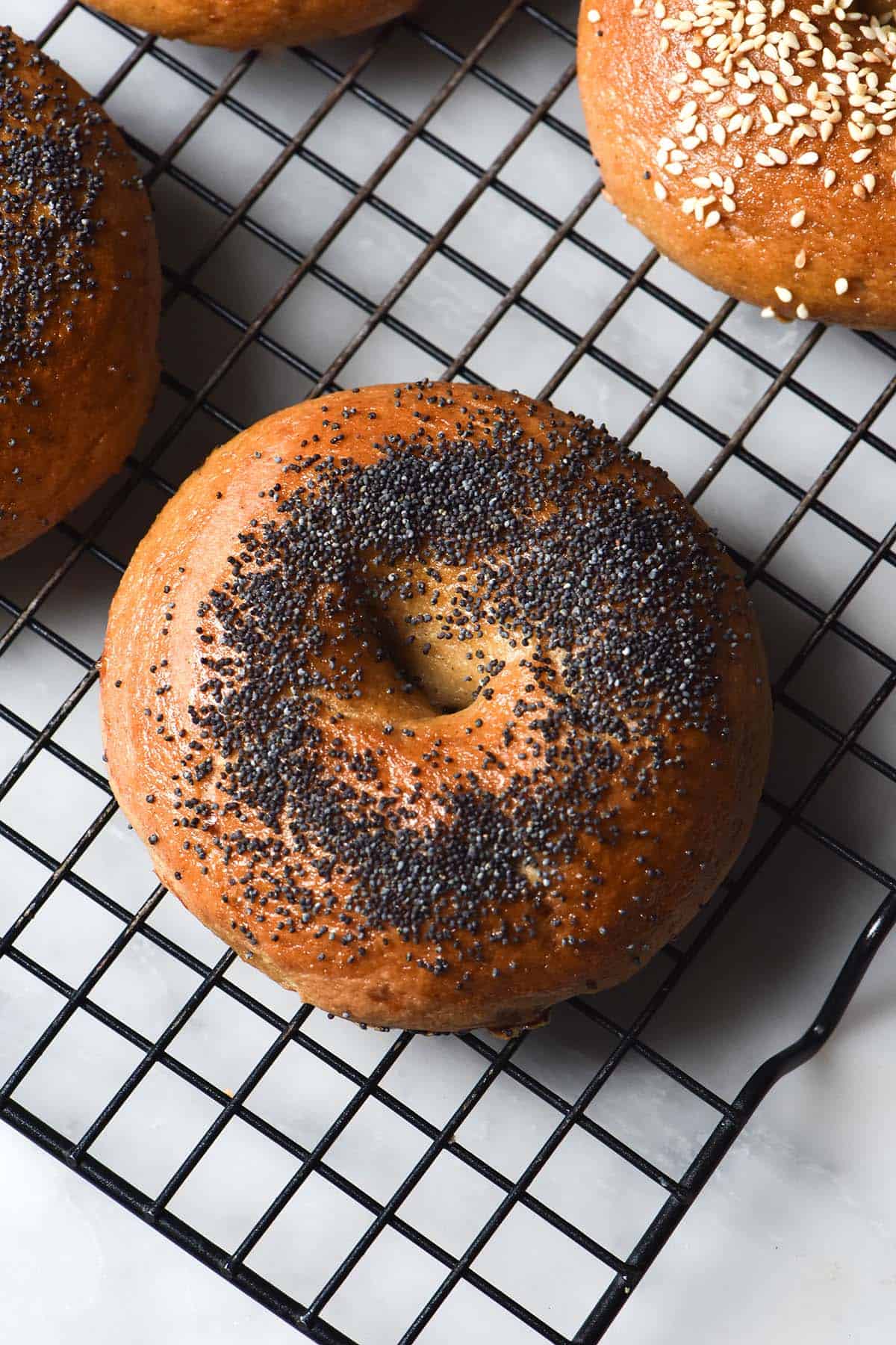 An aerial image of gluten free sourdough bagels topped with poppyseeds and sesame seeds on a wire cooling rack atop a white marble table