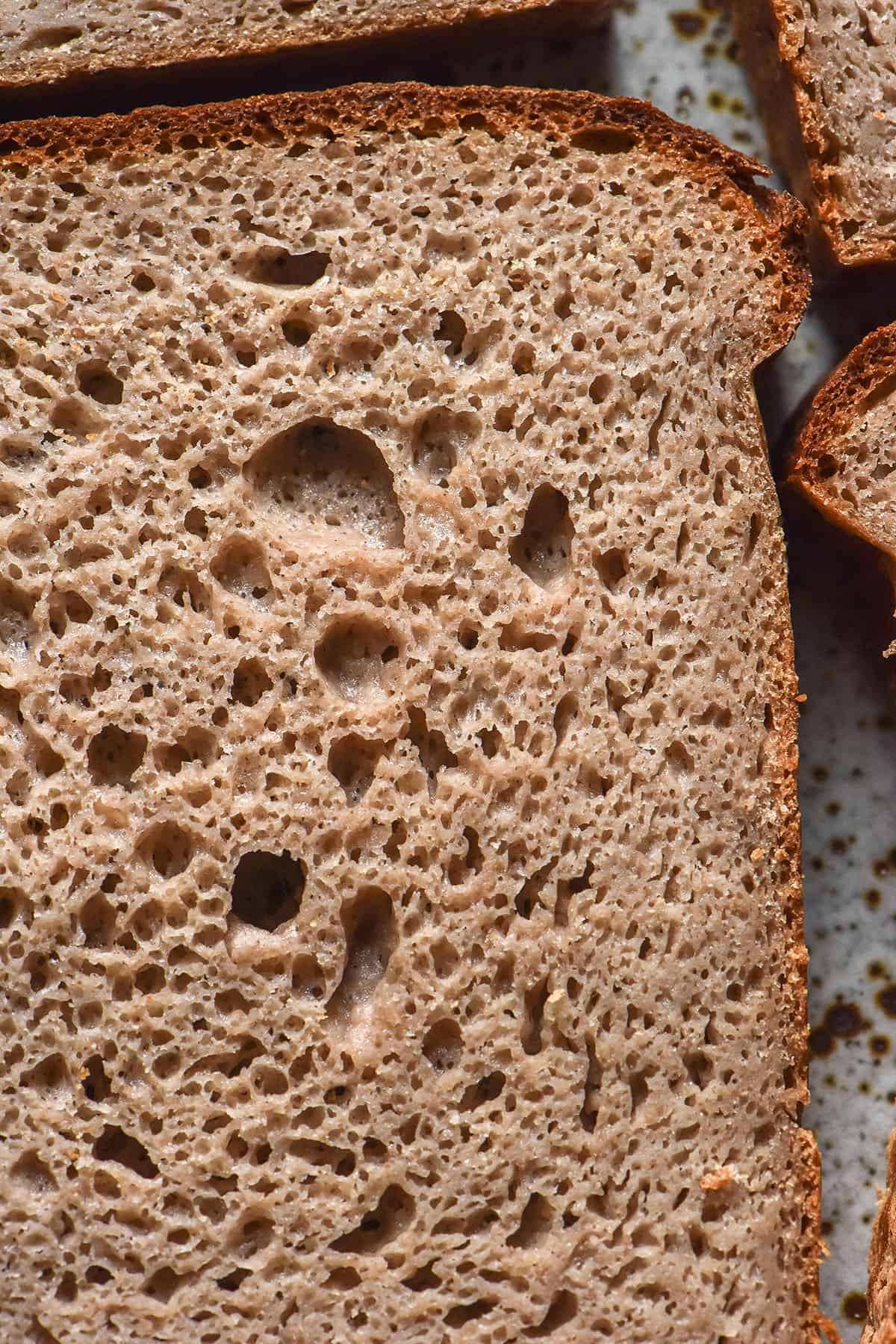 A close up macro image of slices of buckwheat sourdough bread on a white speckled ceramic plate. The bread has been sliced to reveal the open crumb.