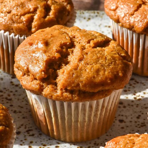 A brightly lit side on image of gluten free vegan pumpkin muffins in white patty pan liners on a white speckled ceramic plate