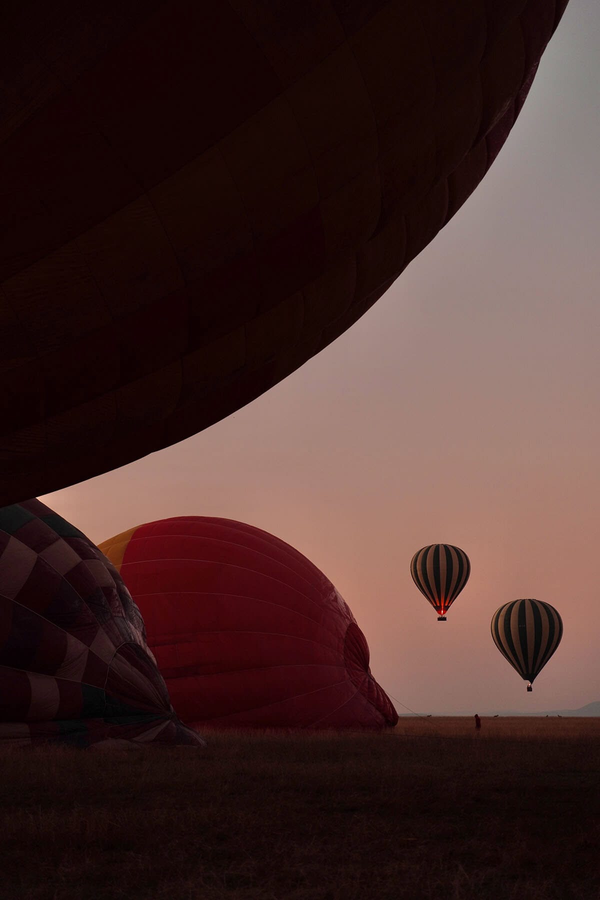 A sunrise image of hot air balloons taking off in the Masai Mara