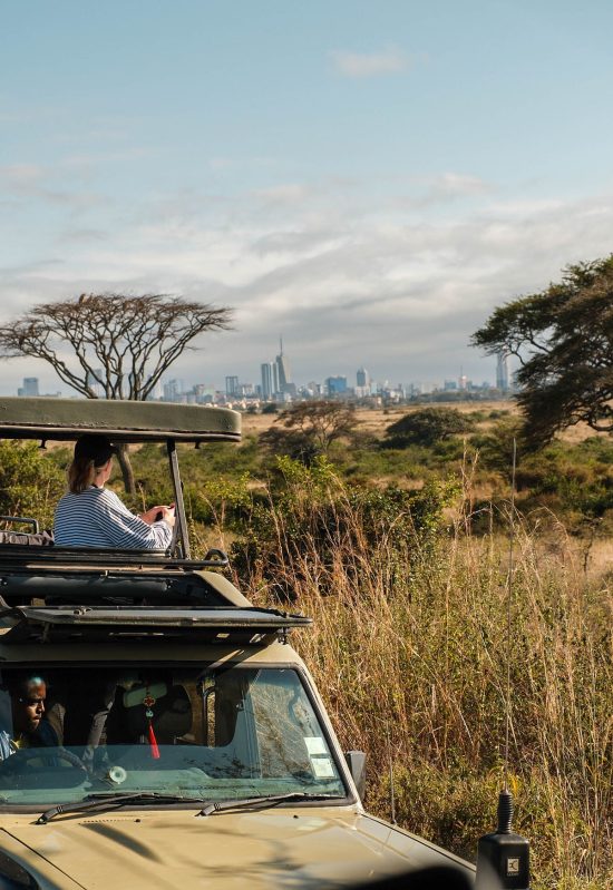 A view of Nairobi National Park on a sunny day with a safari car and the city skyline in the background