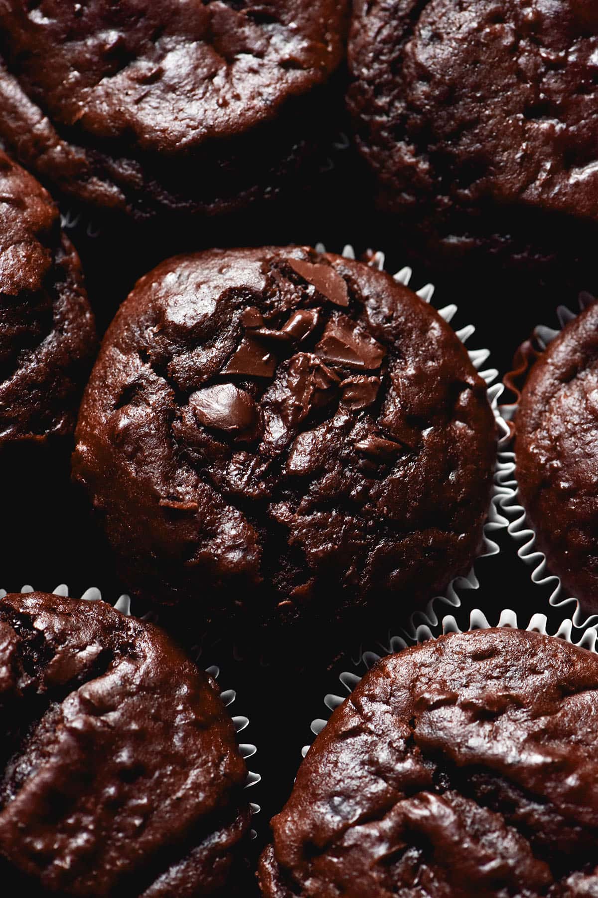 An aerial image of double chocolate buckwheat muffins arranged snug on a plate.